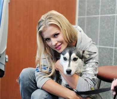 "Top model": Krupa załatwiła psu rodzinę!