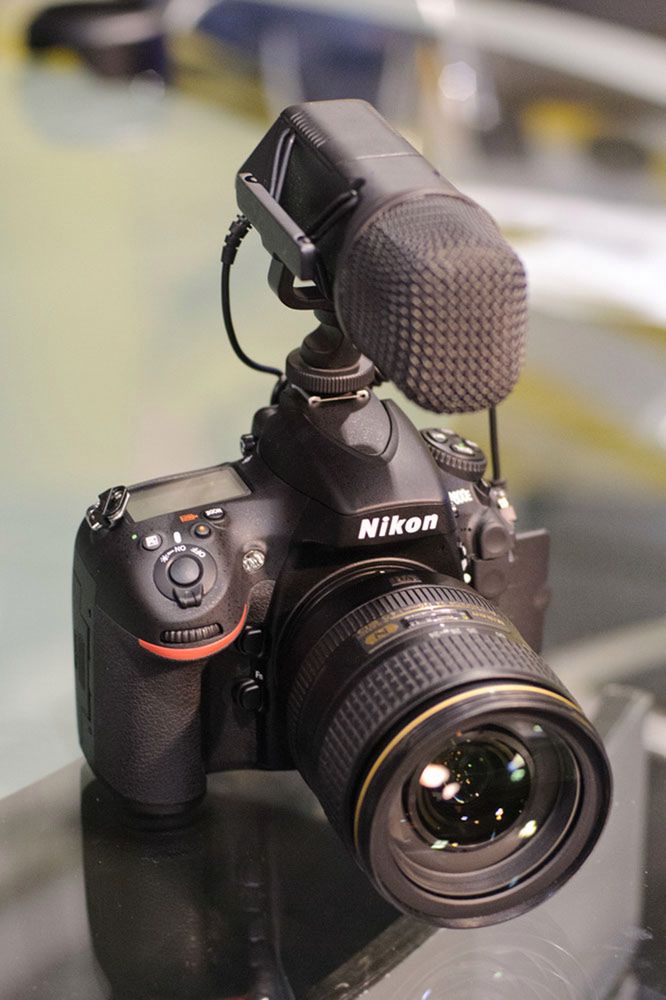 Nikon D800 i D800E - pierwsze wrażenia [galeria] 22