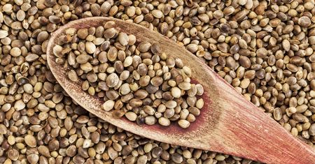Nasiona hemp - najzdrowsze ziarna świata