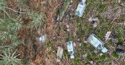 Ponad 3500 "małpek" zniknęło z Częstochowy. Mieszkańcy ruszyli do sprzątania