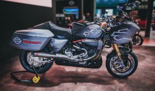 Baggery Harleya-Davidsona będą ścigać się przy MotoGP. Zobaczyliśmy, jak będą wyglądały