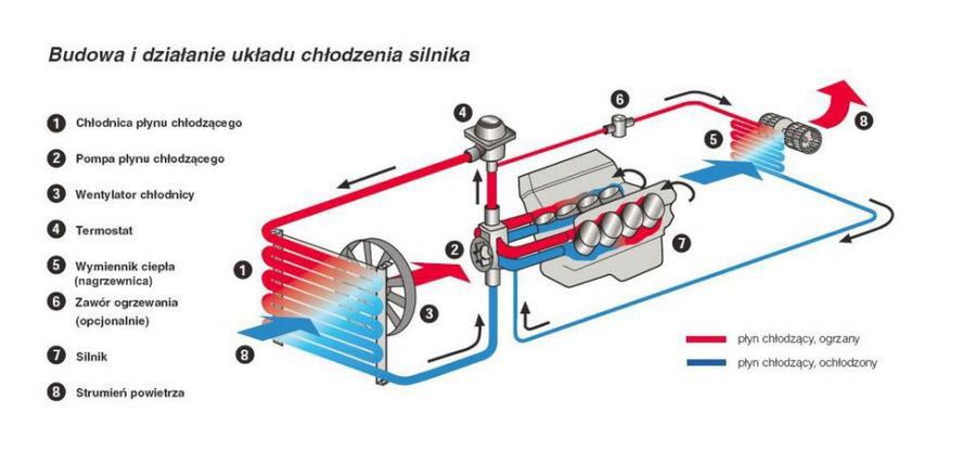 Budowa i działanie układu chłodzenia