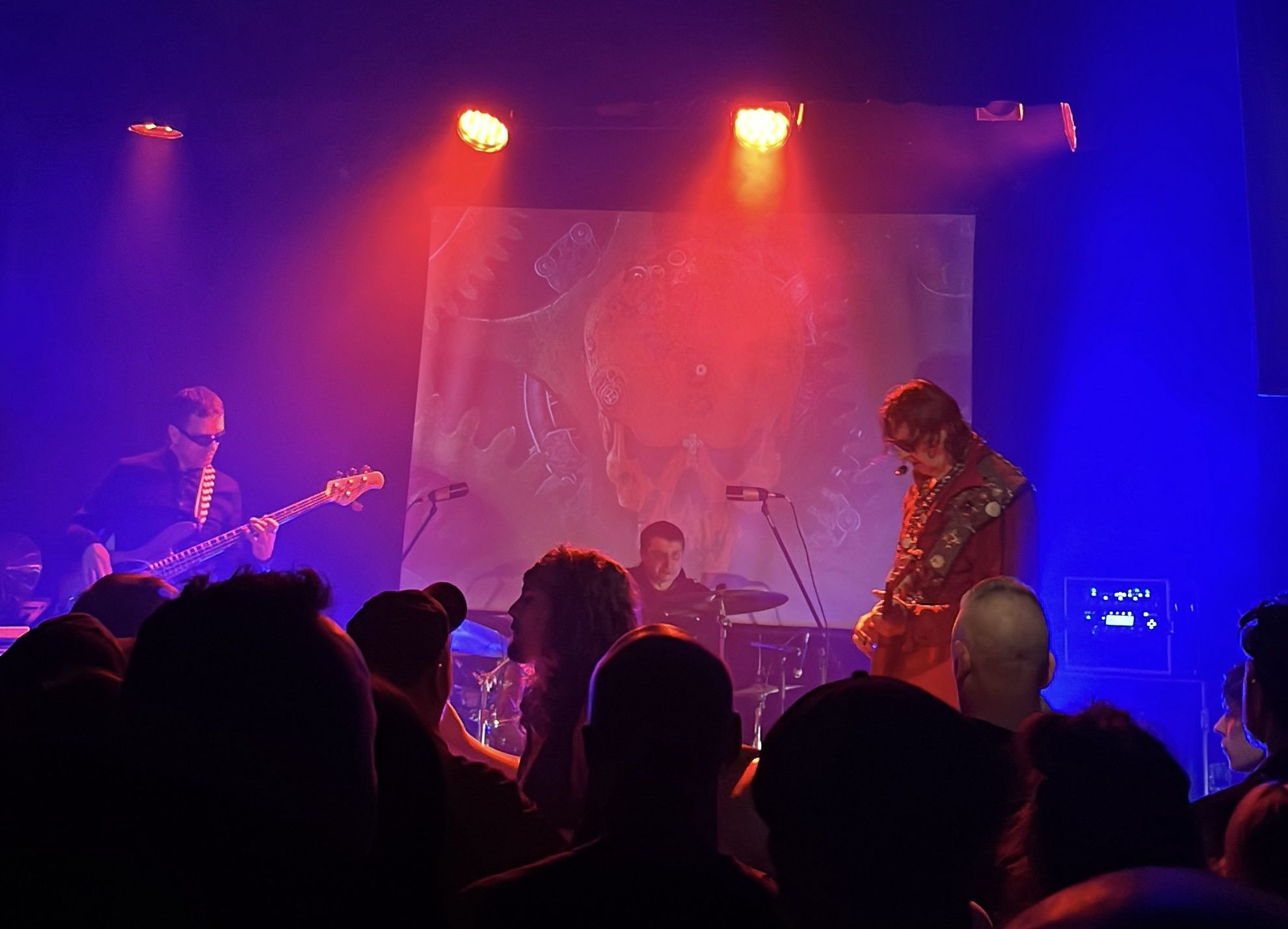 Koncert Homo Twist