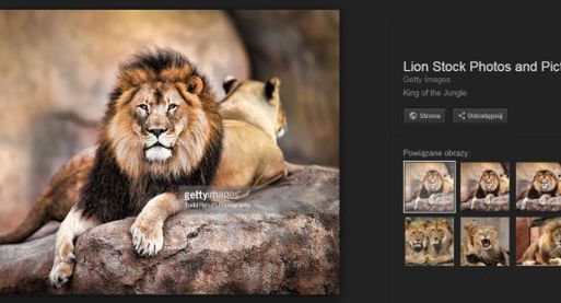 Po ugodzie z Getty Images z wyszukiwarki Google znika przycisk Pokaż obraz