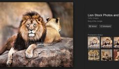 Po ugodzie z Getty Images z wyszukiwarki Google znika przycisk Pokaż obraz