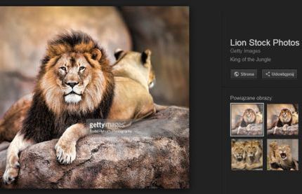 Po ugodzie z Getty Images z wyszukiwarki Google znika przycisk Pokaż obraz