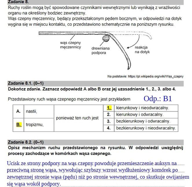 Zadanie 8.1 i 8.2