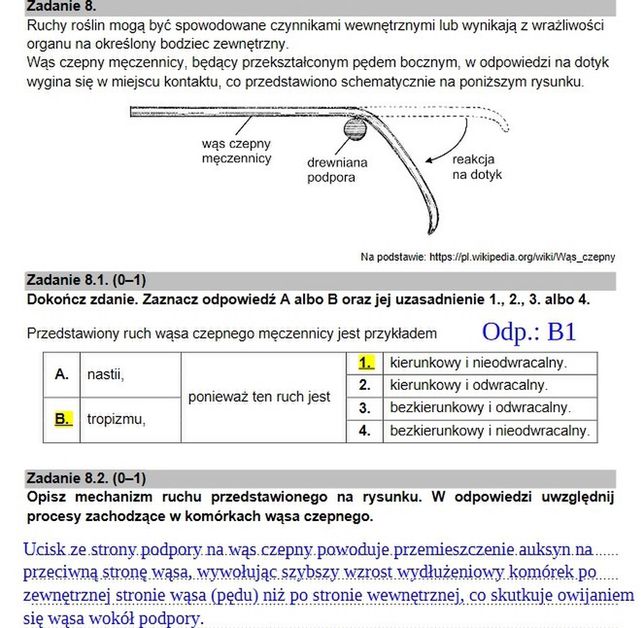 Zadanie 8.1 i 8.2