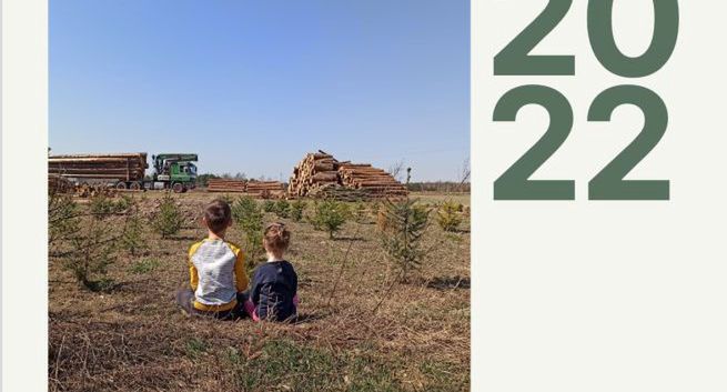 Wycinka drzew na okładce kalendarza Lasów Państwowych