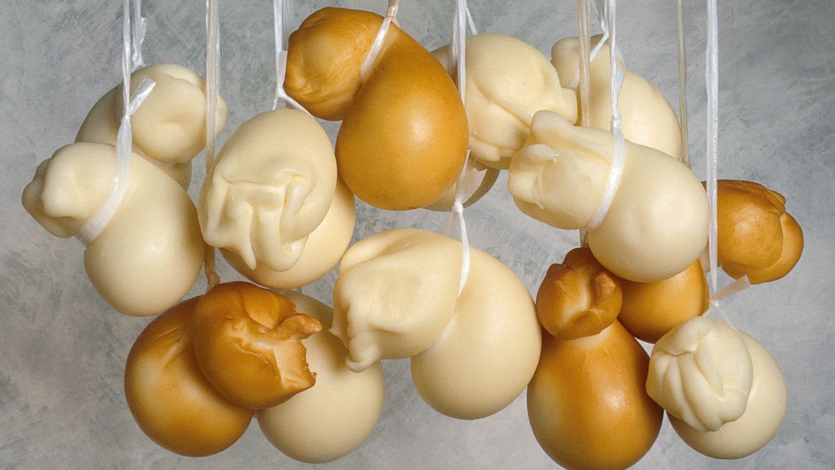 scamorza  