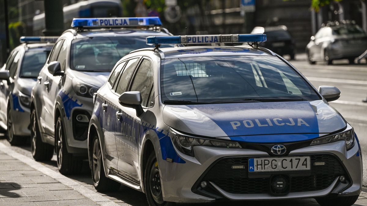 Milion złotych z programu. Policja wpadła na trop sprytnego oszusta