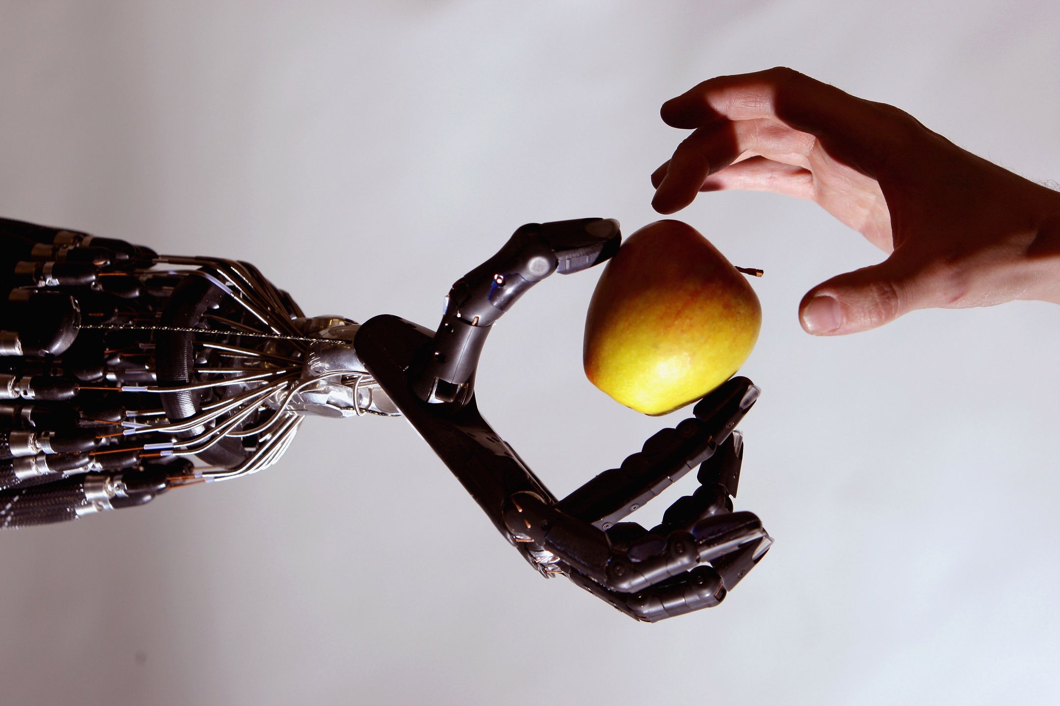Robot, który rozumie drugiego robota. Naukowcy już go stworzyli 2
