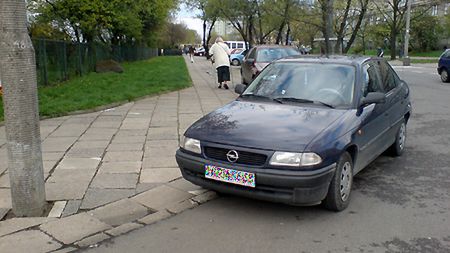 Obraz