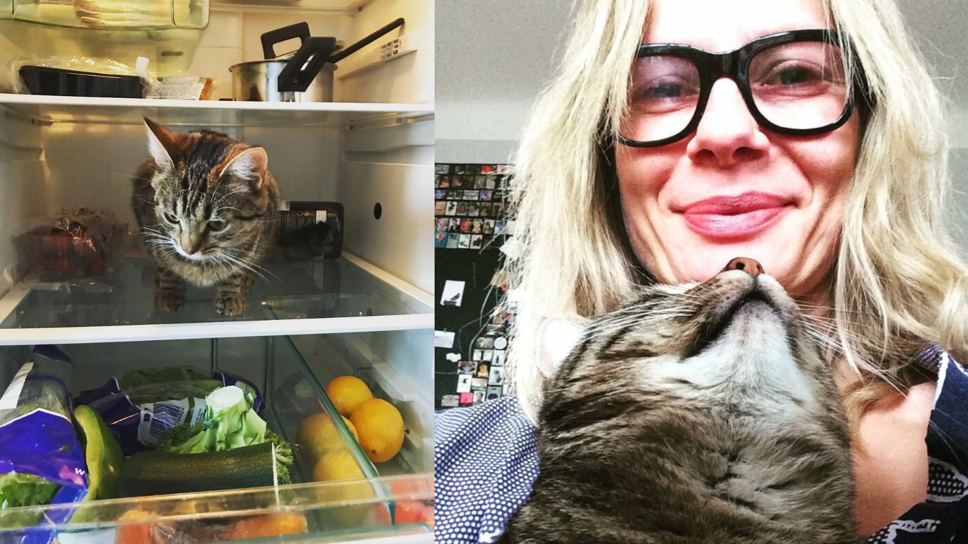 Tak mieszka Magdalena Cielecka