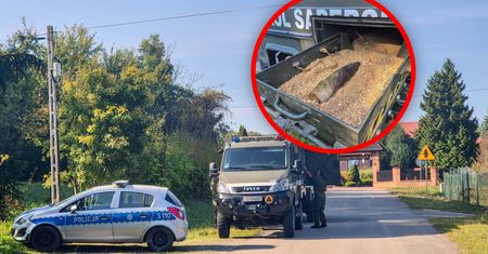 Szukasz grzybów? Leśnicy: możesz trafić na coś zupełnie innego