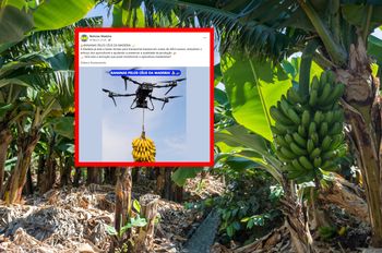 Banany polecą dronami. Maszyny udźwigną nawet 100 kg
