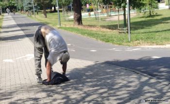 "Efekt zombie" w Gorzowie? Widok jak z nagrań z USA