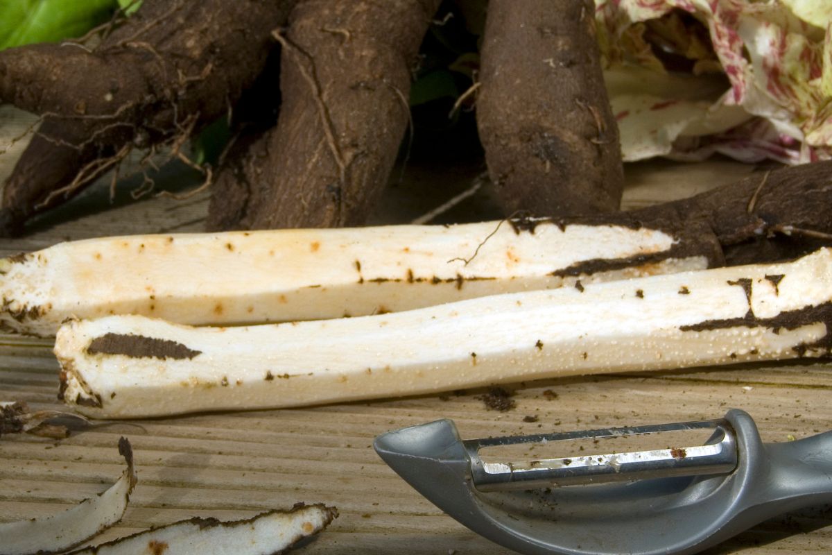 Dziś na próżno szukać go w sklepie. Nasze prababcie gotowały go częściej niż ziemniaki