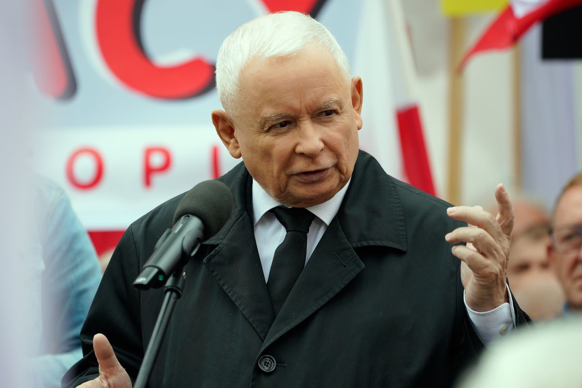 Wśród wydatków spółki Srebrna znalazł się zakup karmy dla kotów. Miłośnikiem czworonogów jest prezes PiS Jarosław Kaczyński (Photo by Jaap Arriens/NurPhoto via Getty Images)