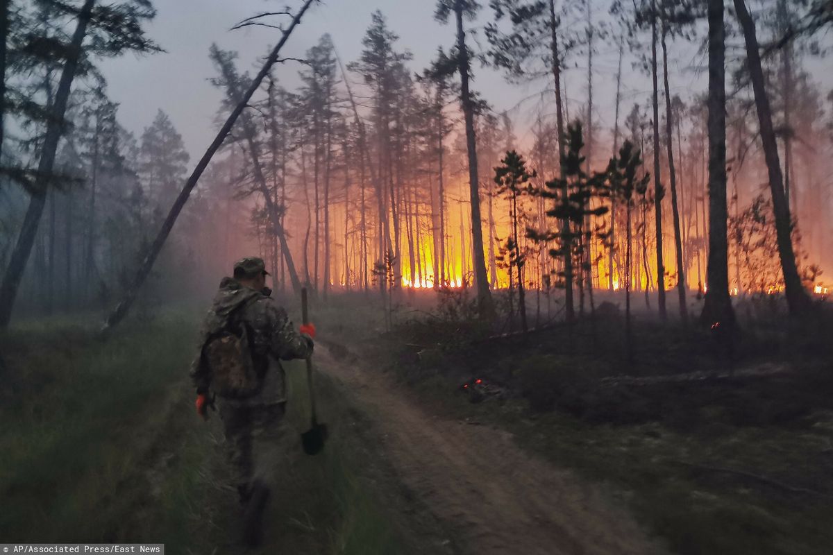 Płoną lasy na Syberii. Kilka wiosek ewakuowano, a kolejnym zagraża ogień 