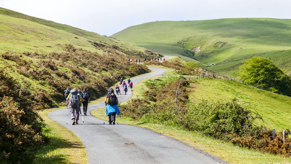 Pilgrims journeying along the scenic Camino de Santiago in the morning
Two pilgrims trek up a lush hill on the Camino de Santiago, guided by a yellow waymark, amidst the beautiful Spanish landscape in the morning.
pilgrimage, nature, pilgrim, backpack, spain, hiking, outdoor, trekking, landscape, road, mountains, morning, green, adventure, path, tourists, fog, people, walk, travel, exploration, scenery, pilgrimage route, pilgrims, countryside, journey, hills, footpath, spirituality, french pyrenees, picturesque, wellness, tradition, tranquility, heritage, scenic route, camino, santiago, st james way, st james, spiritual. spirituality, pilgrimage, nature, pilgrim, backpack, spain, hiking, outdoor, trekking, landscape, road, mountains, morning, green, adventure, path, tourists, fog, people, walk, travel, exploration, scenery, pilgrimage route, pilgrims, countryside, journey, hills, footpath, spirituality, french pyrenees, picturesque, wellness, tradition, tranquility, heritage, scenic route, camino, santiago, st james way, st james, spiritual. spirituality
