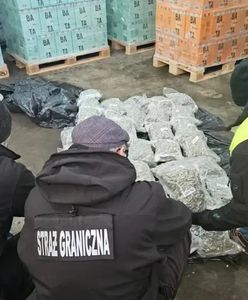 Ogromny przemyt marihuany w transporcie wina z Hiszpanii. Policja znalazła 277 kg narkotyku
