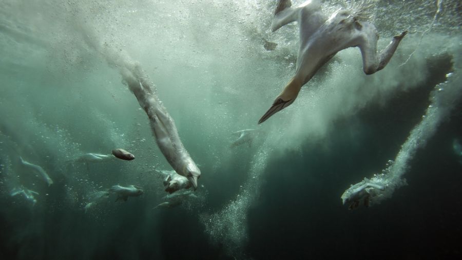 Canon Europe ogłosił finalistów konkursu na ikoniczne zdjęcie. Polak wśród laureatów 1