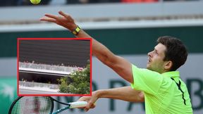 Duże zainteresowanie meczem Hurkacza. Fani aż stali na balkonie