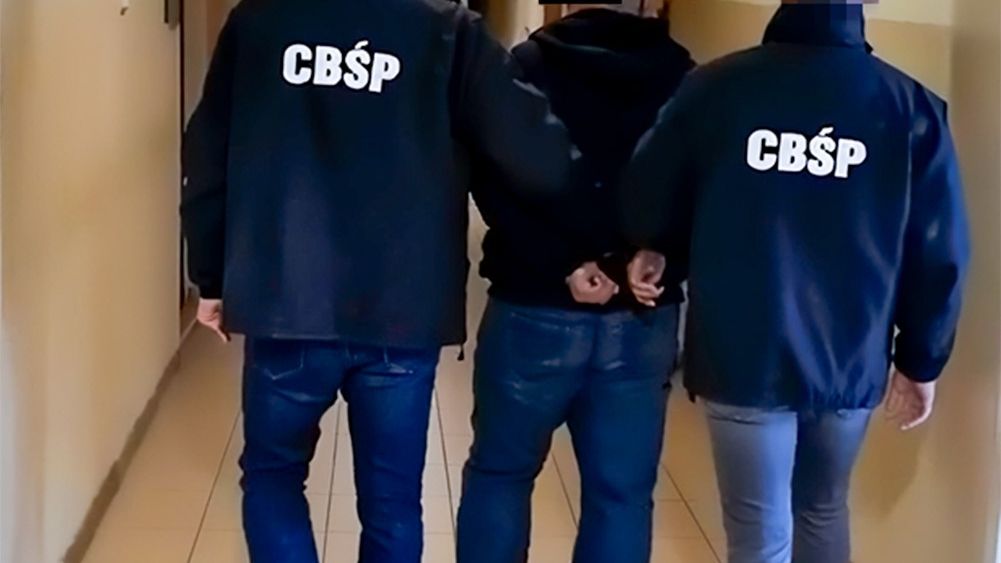 policja