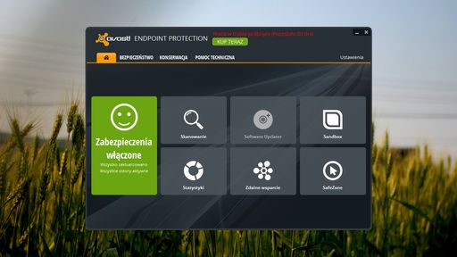 avast! Endpoint Protection Suite