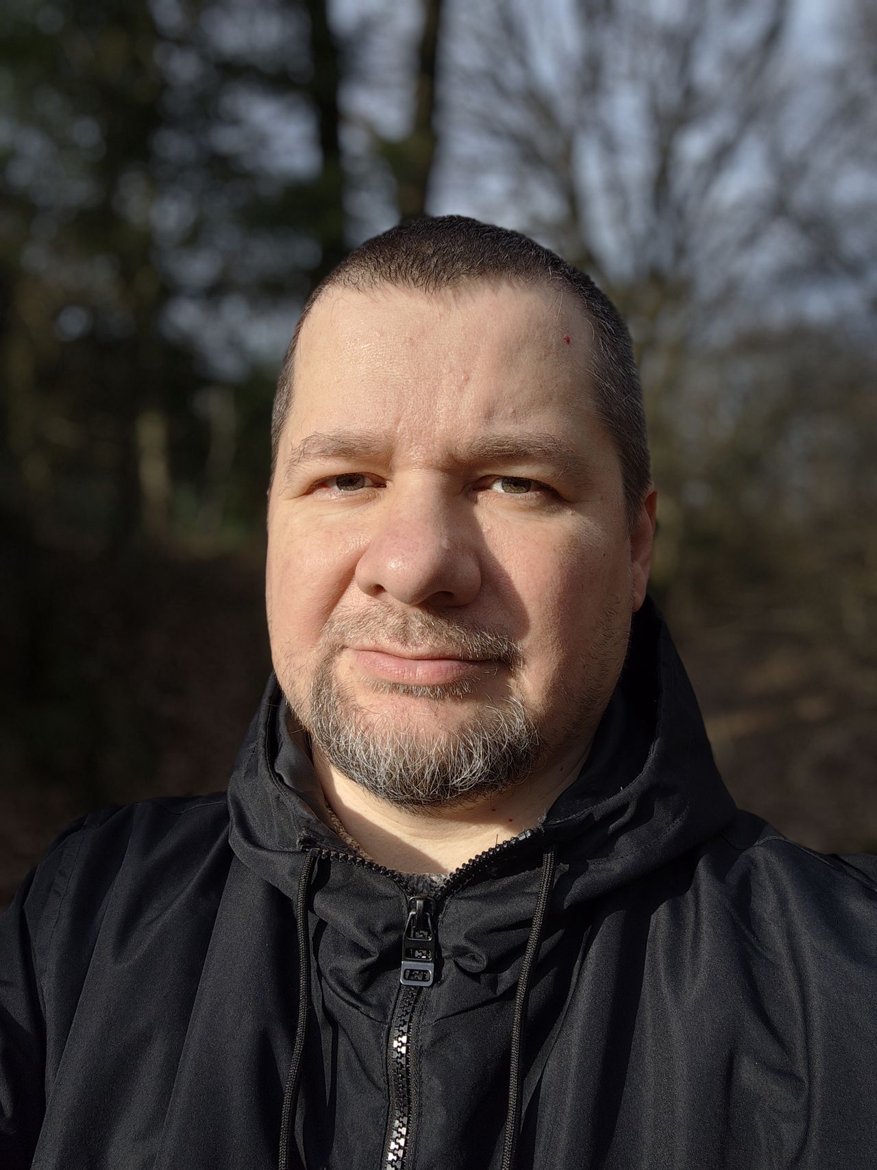 Obraz
