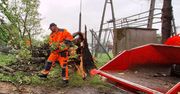 Przy alei Tarnowskich w Tarnowie przewróciło się drzewo. Mieszkańcy obawiają się o stan innych, które rosną obok oraz o swoje bezpieczeństwo