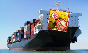 Tony żywności z Azji z zakazem wjazdu do Polski. Oto co wykryli