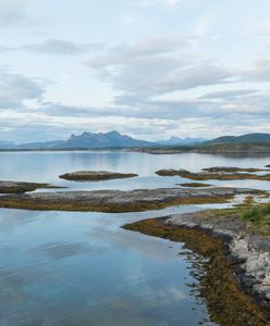 Podwodne fale upałów. Problemy Norwegii