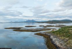 Podwodne fale upałów. Problemy Norwegii