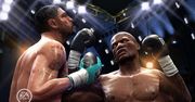 Fight Night Round 4 - recenzja