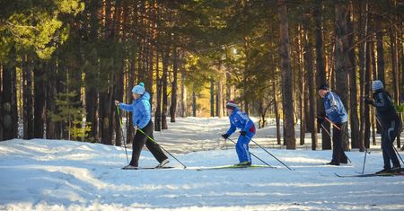 Skacz jak Stoch! Zagraj w jedną z gier o skokach narciarskich