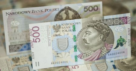 KNF i NBP ostrzegają przed kryptowalutami w galopie tromtadracji