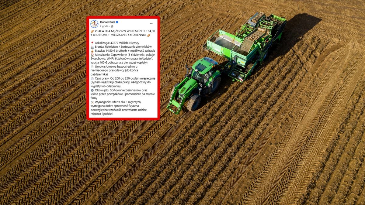 Niemcy z propozycją dla Polaków.