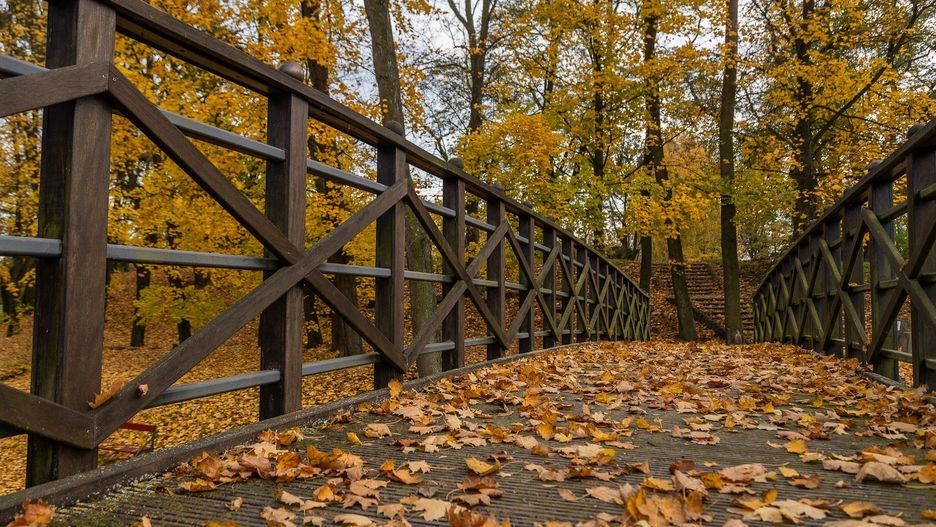 Wzgórze Zamkowe w jesiennym wydaniu