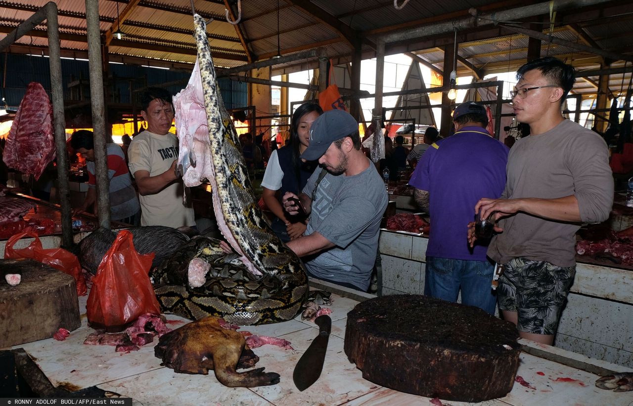 Pół kilo kosztuje 400 zł. Cena przeraża jak to, co na talerzu