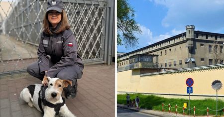 Bohaterska reakcja funkcjonariuszki w Płocku. Przerwała przemoc wobec kobiety!