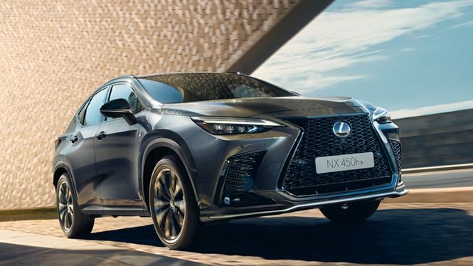 Zdjęcie ilustracyjne do artykułu