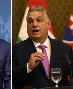 Tusk ostro o Orbanie. "Gra w drużynie Putina"