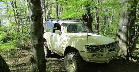 Rozjeżdżają lasy. Idzie bat na quady i offroadowców
