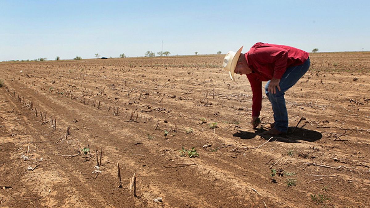 Aż 3,2 miliardy ludzi odczuwa skutki degradacji planety