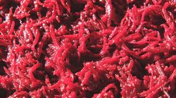 Nie tylko na anemię. Burak to prawdziwa bomba składników odżywczych