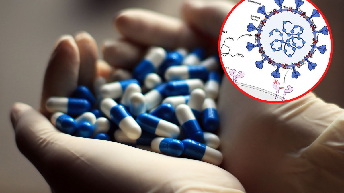 Lek sprawia, że SARS-CoV-2 nie może zainfekować komórek