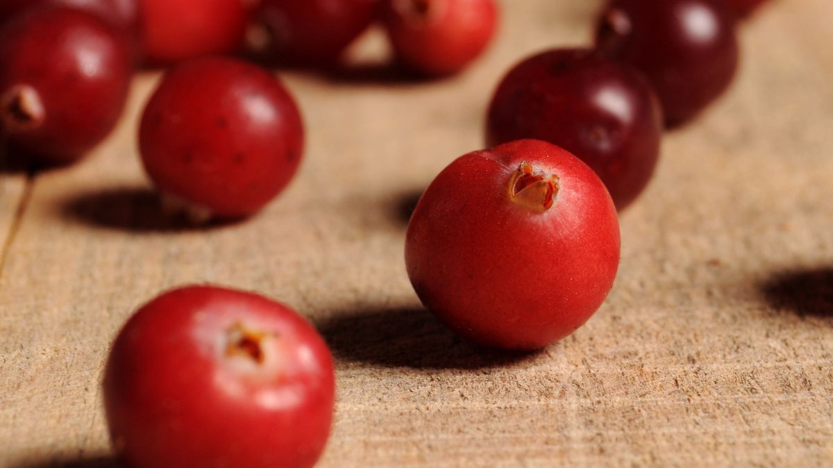 Dlaczego warto jeść żurawinę?