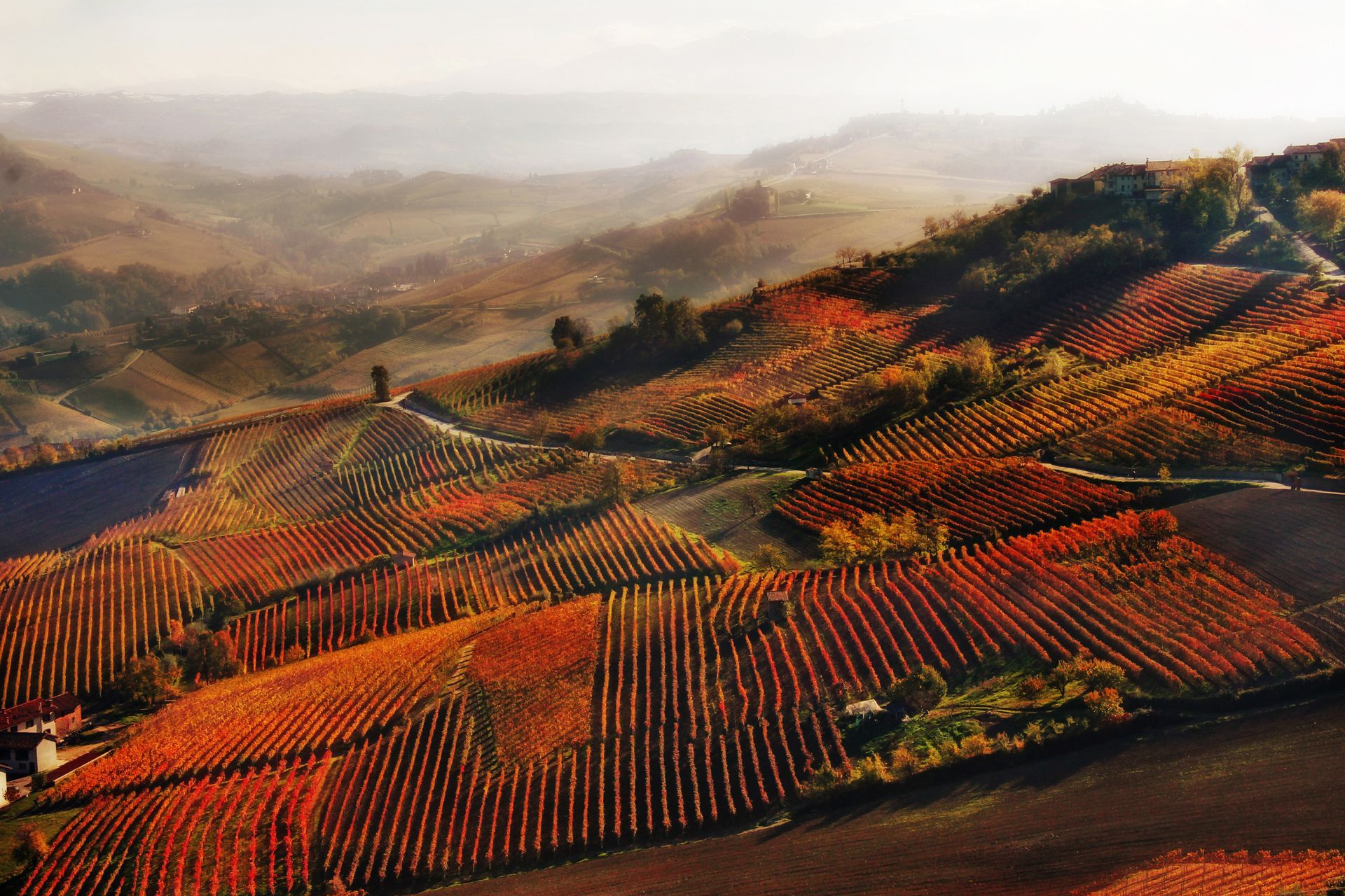 Polak laureatem Siena International Photo Awards 2016 19